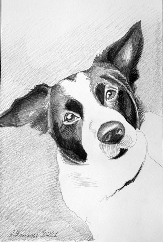 portret na zam�wienie 7